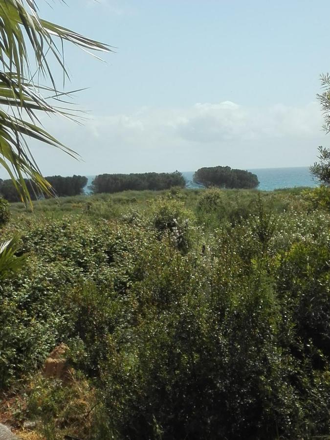 Les Jardins De La Mer Marine De Bravone - 2 Chambres A Lit Plus Sofa Avec Piscine A Cote Mer Linguizzetta ภายนอก รูปภาพ